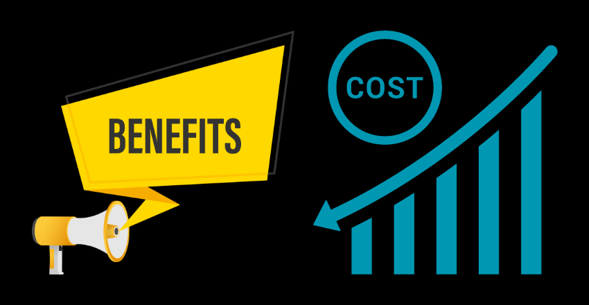 Cost Benefits: Comparison of cost implications between cross-platform and native app development.