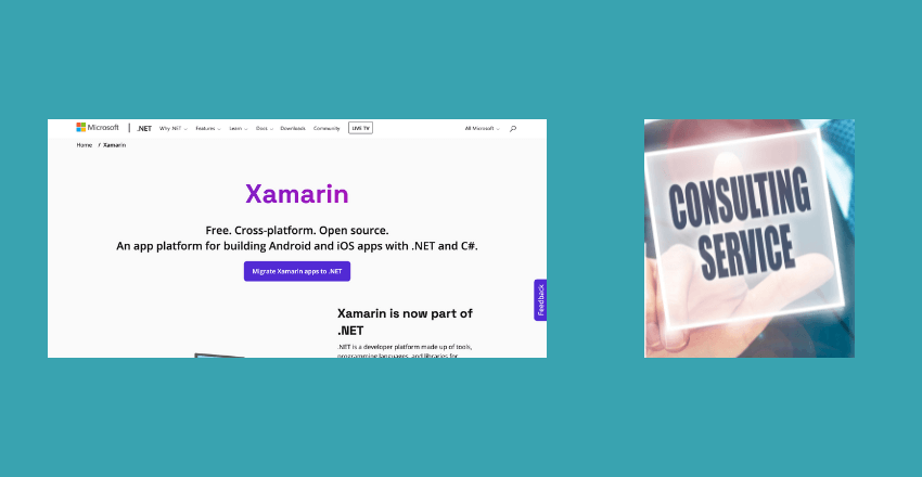 Xamarin Consulting Services: